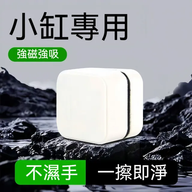 雙面清潔強力磁吸魚缸清潔刷 迷你方塊雙材質刷毛魚缸磁力刷-1入