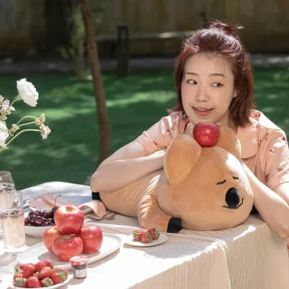 【YVONNE 以旺傢飾】QUOKKA 趴姿抱枕(DINOTAENG)