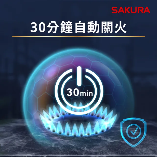 【SAKURA 櫻花】二口小面板智控易清檯面爐G2527G(火速安裝-官方直營)