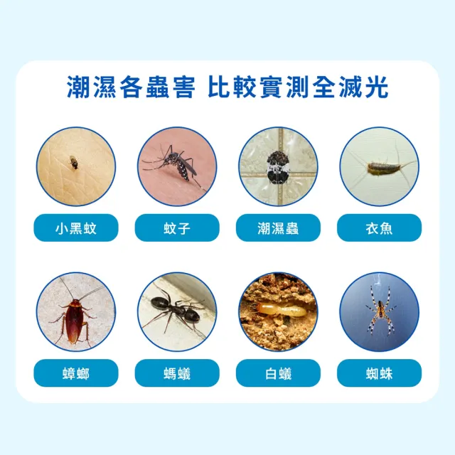 【福來朗】潮濕蟲噴霧 500ml (除蟲菊精｜衣魚｜鰹節蟲｜書蝨｜潮濕空間適用)