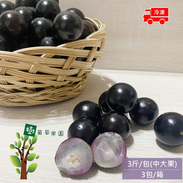 樹葡萄果園 冷凍鮮採樹葡萄9斤x1箱(3斤/包_中大果_冷凍宅配_產地直送)