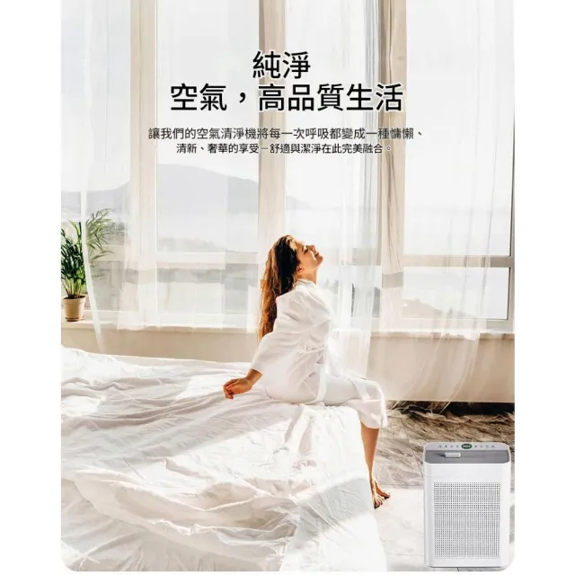 【IPSKY】空氣清淨機 空氣淨化器（強力吸浮毛 除甲醛除異味 PM2.5淨化 雙面淨風設計 空氣除臭機）