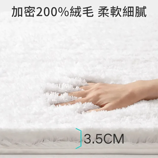 大江 親膚厚絨暢銷款 Ag+日本銀離子抗菌超吸水絨毛地墊2入40x60cm(速乾/浴室防滑/止滑地墊)