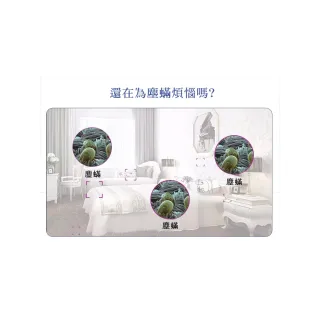 【ROYAL LIFE 皇室生活】強效吸塵蟎吸跳蚤貼-每袋3包(消除塵蟎/塵蟎片/除蟎片/誘補貼/除蟎貼片)