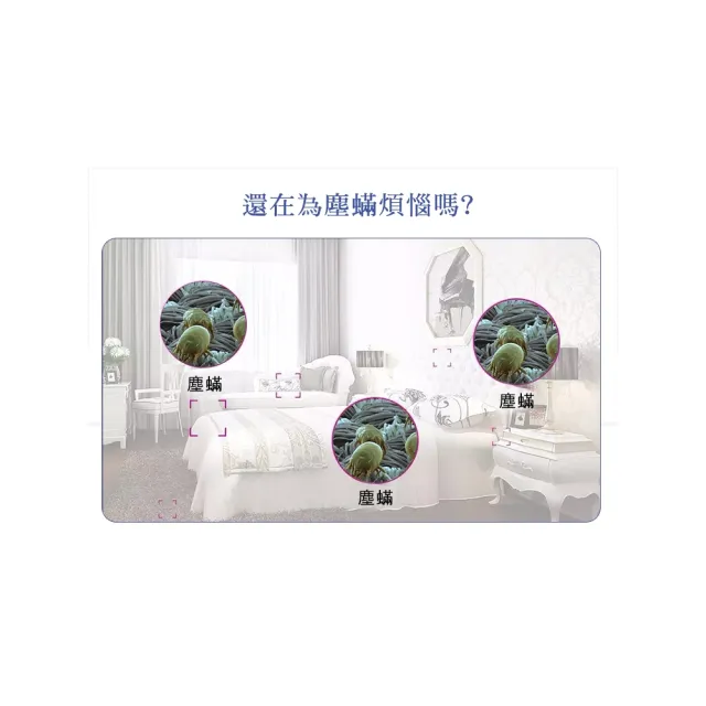 【ROYAL LIFE 皇室生活】強效吸塵蟎吸跳蚤貼-每袋3包(消除塵蟎/塵蟎片/除蟎片/誘補貼/除蟎貼片)