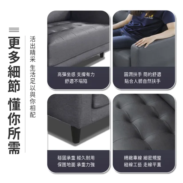 【ASSARI】三人座艾莉雅輕奢現代貓抓皮沙發(3人座)