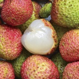 【黑貓嚴選】高雄大樹小馬果園 玉荷包禮盒4盒(1.8kg/盒)