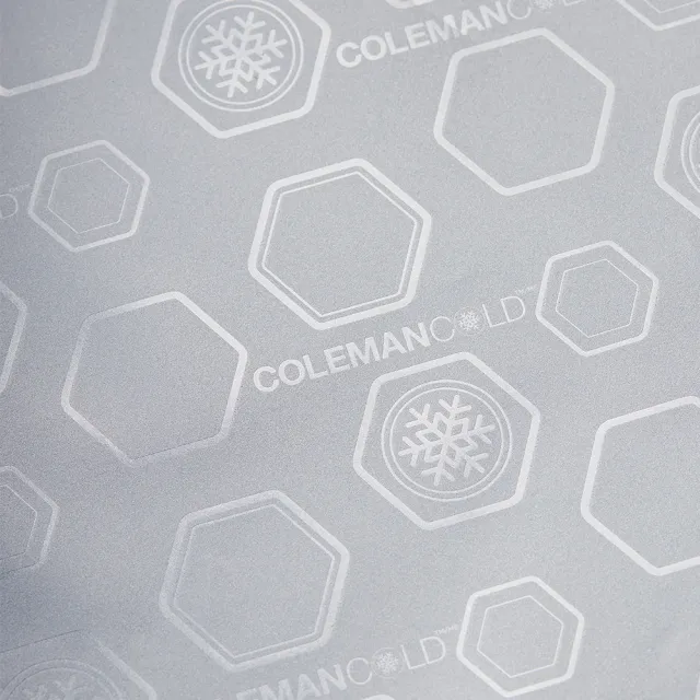 【Coleman】10L保冷袋(保冷袋 保冰袋 野餐袋 便當袋 購物袋)