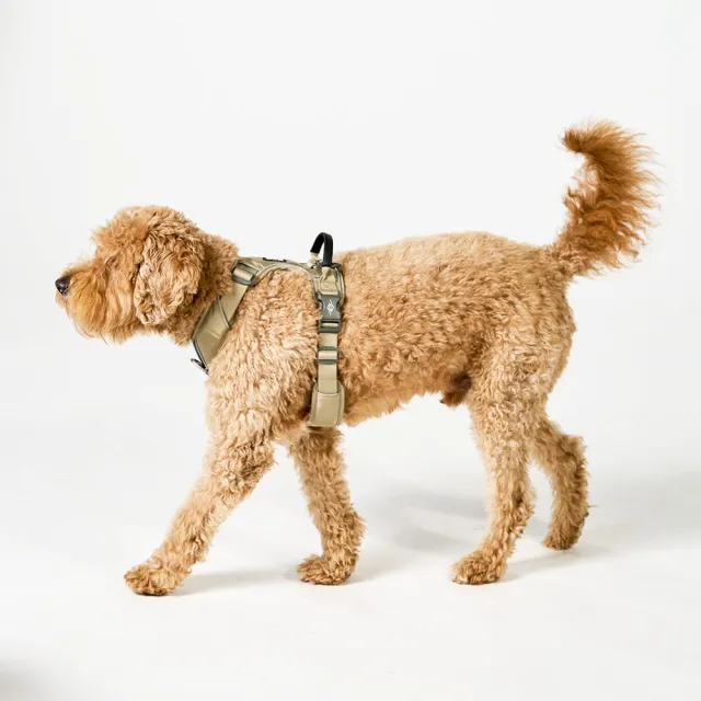 【DOG Copenhagen】丹麥犬胸背帶Pro款-M(狗狗專用 頂級旗艦 舒適好操控)