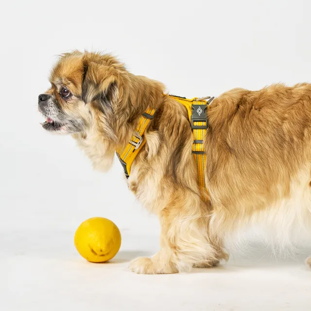 【DOG Copenhagen】丹麥犬胸背帶Air款-S(狗狗專用 透氣輕盈 不套頭設計)