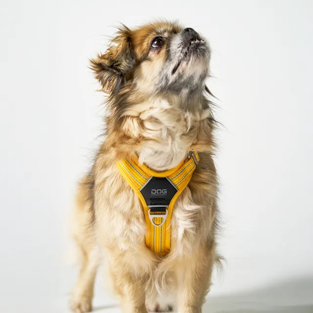 【DOG Copenhagen】丹麥犬胸背帶Air款-M(狗狗專用 透氣輕盈 不套頭設計)