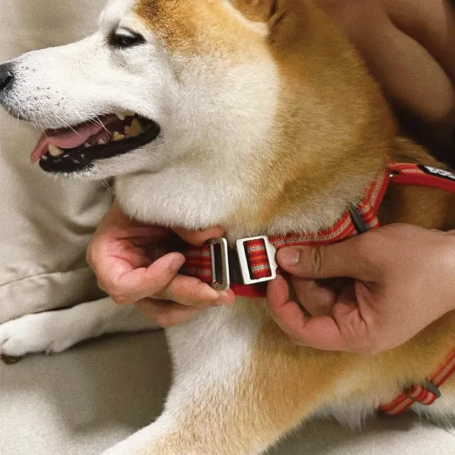 【DOG Copenhagen】丹麥犬胸背帶Air款-L(狗狗專用 透氣輕盈 不套頭設計)