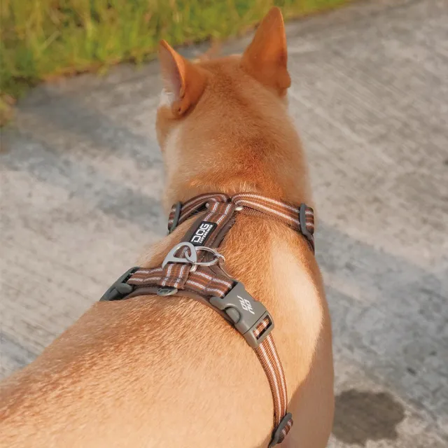【DOG Copenhagen】丹麥犬胸背帶Air款-L(狗狗專用 透氣輕盈 不套頭設計)