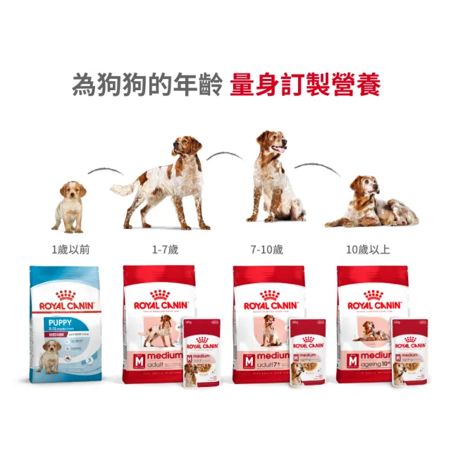 【ROYAL 法國皇家】中型老犬10+歲 M+10 3KGX2(狗乾糧 狗飼料)