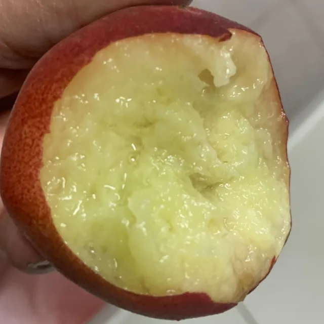 【黑貓嚴選】《喜樂拉拉山》一口水蜜桃禮盒(13~20粒/1200g/盒)