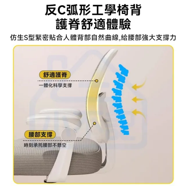 【小不記】多功能學習成長椅 學習椅 兒童電腦椅 書桌椅 課桌椅 兒童椅 學生椅 人體工學椅(升降腳踏/頂配版)