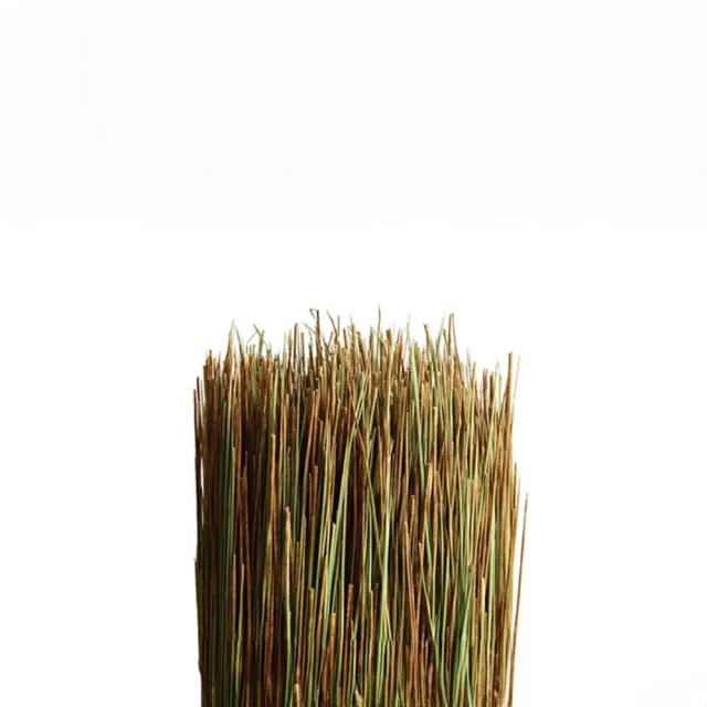 【IKEHIKO】原生藺草束GrassObject｜☆10x95cm｜1件｜日式雜貨｜花藝束
