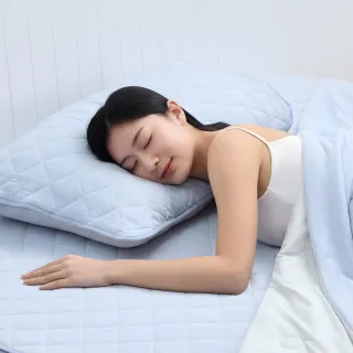 【Tonia Nicole 東妮寢飾】TopCool冰凍銀抗菌涼感墊/涼感保潔墊-八色任選(加大)