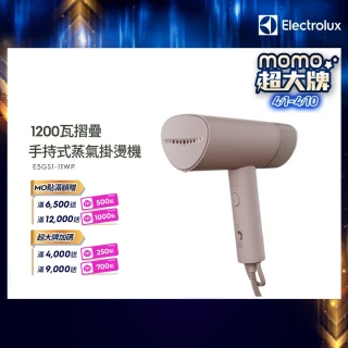 【Electrolux 伊萊克斯】極致呵護300 1200瓦摺疊手持式蒸氣掛燙機(E5GS1-11WP)