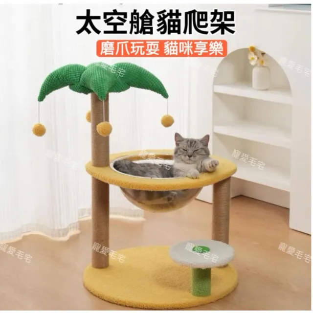 【2026】貓跳台推薦｜10款高評價人氣品牌排行榜 | 好吃美食的八里人