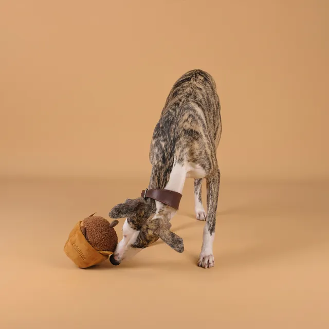 【CHEWFFON】橡果蛋糕 藏食玩具(嗅聞玩具 狗狗玩具 寵物玩具 有聲玩具)