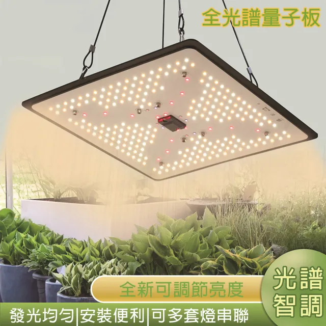 【LADUTA 拉布塔】100W植物生長燈 LED 全光譜調光量子板 三星晶片