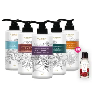 【古寶無患子】4入組-純露洗髮精480g(頭皮護理/控油/頭皮潔淨/養護髮/護色/舒緩乾癢)