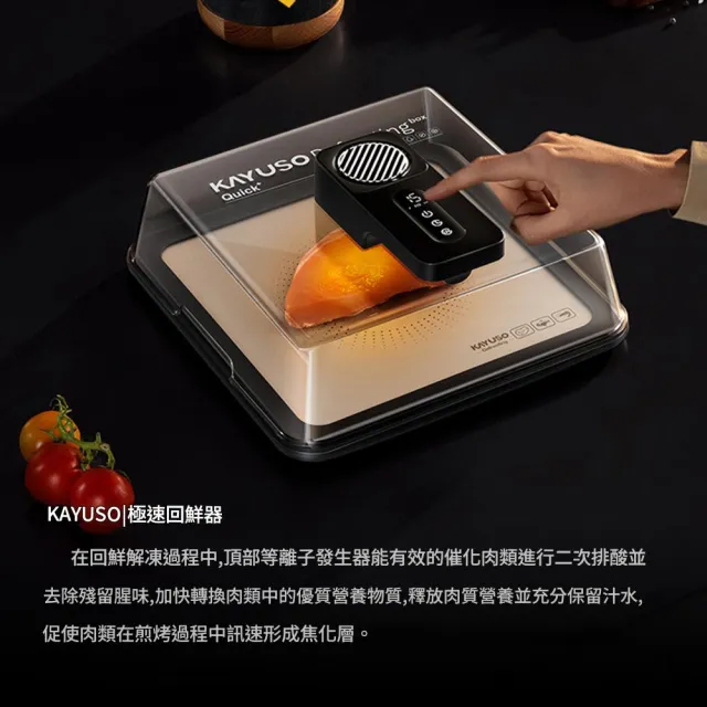 解凍板 舒肥板 牛排回鮮解凍器 肉類解凍器廚 房食材快速解凍神器 家用化凍除菌導熱板 化冰導熱板