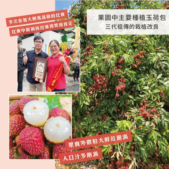 【初品果】高雄大樹玉荷包禮盒大果3斤x4盒(35mm+_顆粒_冷藏_鳳荔文化獎)(端午禮盒)