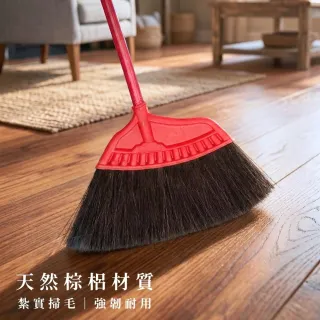 黑棕掃
