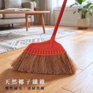 椰絲掃