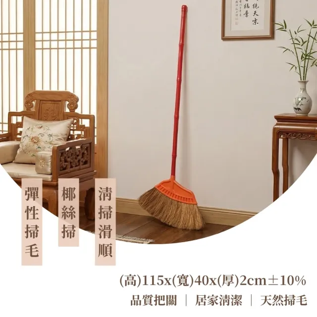 椰絲掃12入