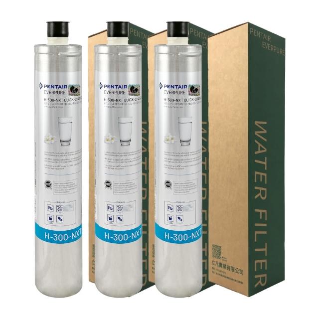 【濱特爾】EVERPURE 濾心 H300NXT(3入組)