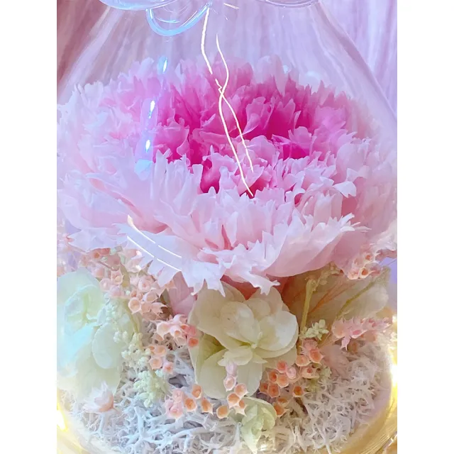 【OSTARA FLORIST 奧斯塔拉花藝】金天使玻璃罩燈座(永生花、母親節花禮、雙色康乃馨)