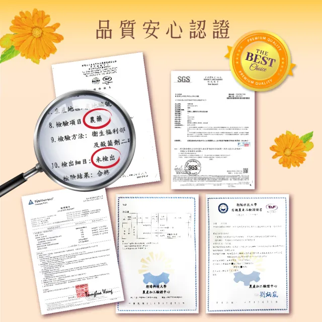 【慢悠仙】阿里山油菊花茶 25g X6袋 (花瓣/台灣/每袋可沖40壺/SGS無農藥/無咖啡因無糖/花草茶養生茶)