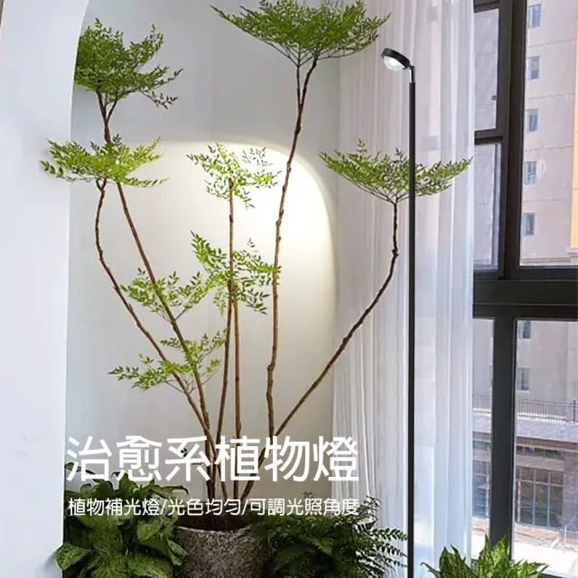 【LADUTA 拉布塔】10W落地植物補光燈 6000K色溫 COB燈珠 光合作用 迴圈定時 180°翻轉