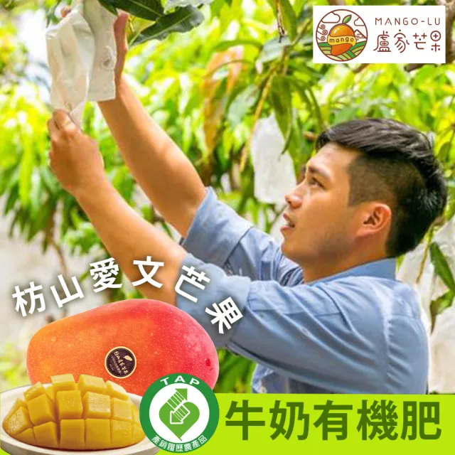 【盧家枋山芒果】銷日嚴選 御用級 愛文芒果禮盒(2.5kg/8顆/送禮/產銷履歷認證/黑貓常溫直送)