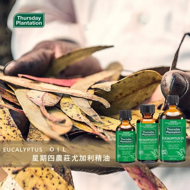 【ThursdayPlantation 星期四農莊】尤加利精油100ml(澳洲原廠公司貨/天然植物精油/香薰/擴香/薰香)