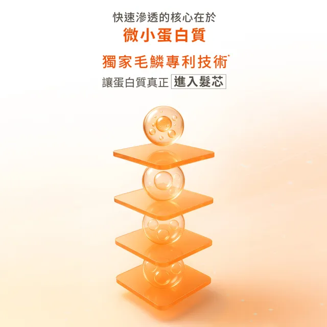 【ELASTINE】角蛋白輕盈蓬鬆修護洗髮精/護髮乳1000ml(受損扁塌修護/修護髮絲/居家沙龍)