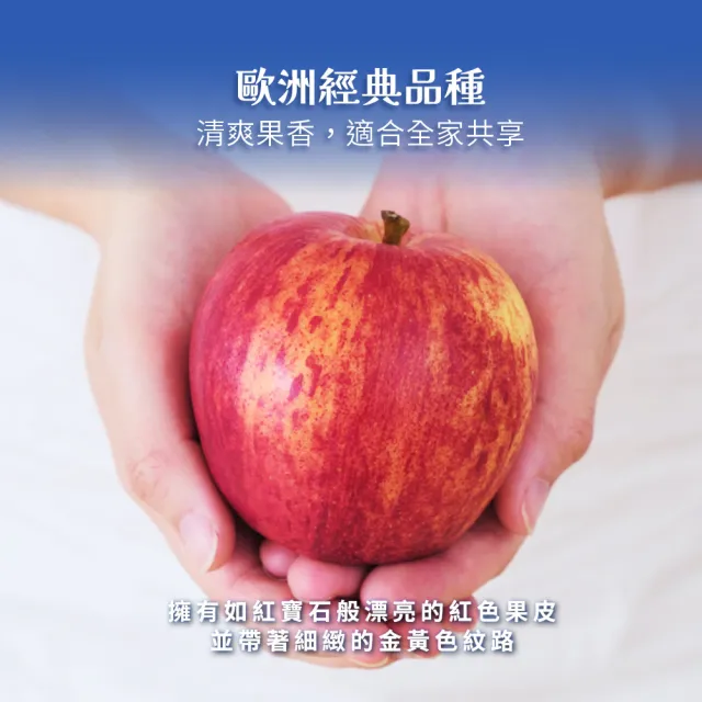 【FruitGo 馥果】進口GALA加拉蘋果150克/顆 x25-30顆/箱 (法國_紐西蘭_美國)