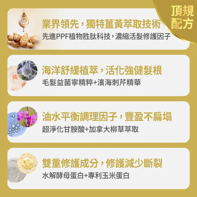 【FJ 豐傑生醫】3D薑黃胜髮根活化洗髮精250mlx2入組(蓬鬆豐盈ｘ活化強健髮根)