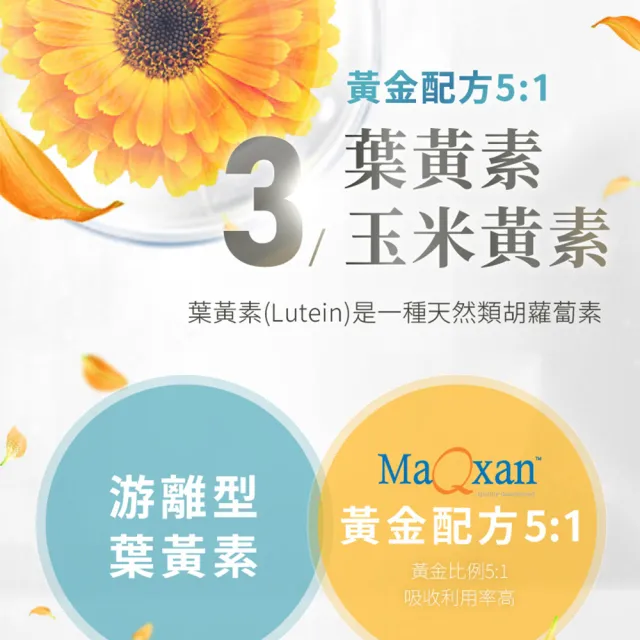【LARGAN】大立美 晶亮立克10盒(共300粒 雙主播 專科醫師推薦 葉黃素  隱黃素)