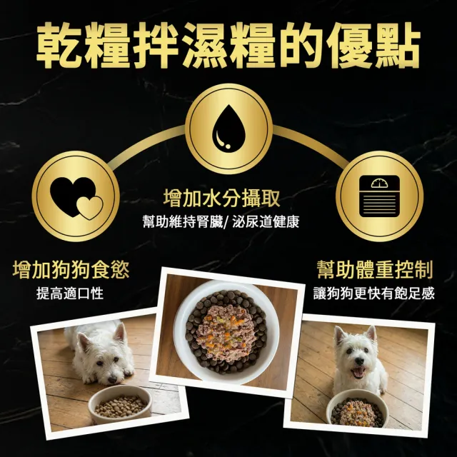 【Cesar 西莎】精緻風味/真饌燉肉 餐盒 綜合口味 100g*18入 網路獨家組(寵物/狗罐頭/狗食)