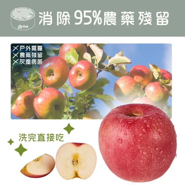 【Arlink】攜帶型蔬果清洗機 便攜式蔬果/肉品淨化機 HC20