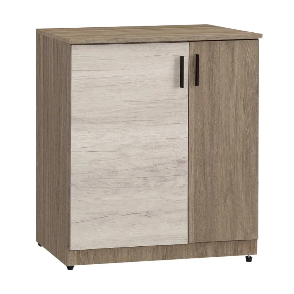 【綠活居】卡蘭  雙色2.7尺二門低鞋櫃