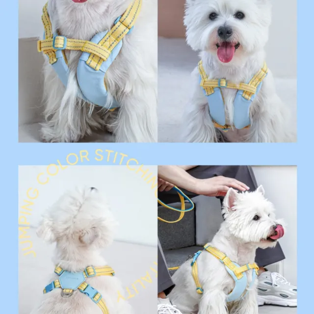 Tuffhound 小書包胸背L號(胸背帶+牽繩) 犬貓牽引繩 TF022