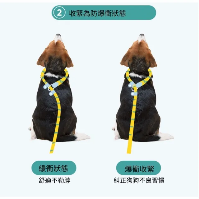 Tuffhound 升級版P繩155cm 犬貓牽引繩 TF014A(寵物牽繩 遛狗繩 遛貓繩)