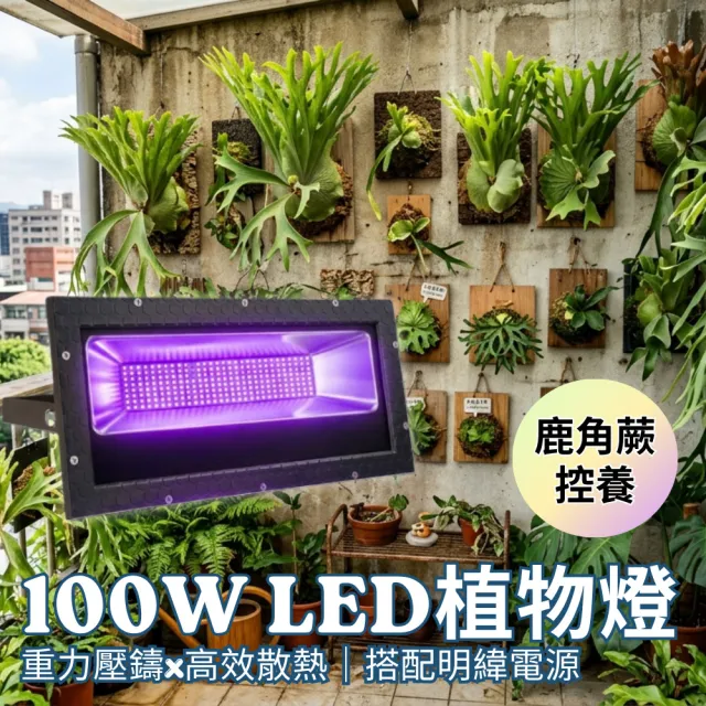 【2026】植物燈推薦ptt》10款高評價人氣品牌排行榜 | BALIMAN情報局