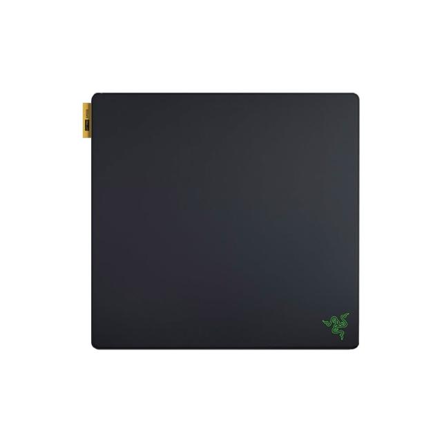 【Razer 雷蛇】Gigantus V2 Pro 巨甲蟲 Speed L 電競滑鼠墊 (速度)