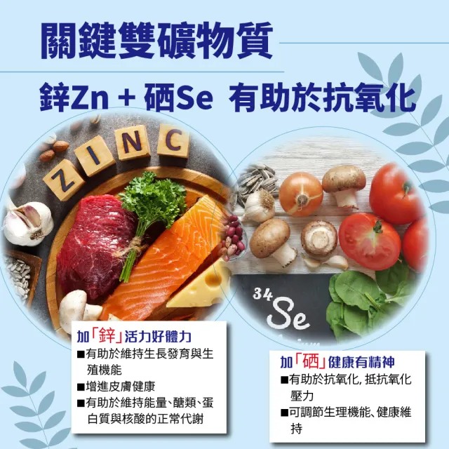 【SENTOSA 三多】男性B群鋅硒錠4入組(60錠/盒)